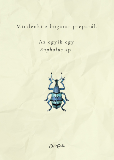 facebookra