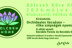 BK-head-2026.-majus-23.-_kirandulas
