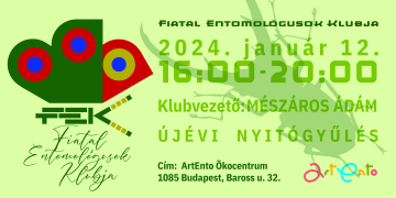 2024.  január