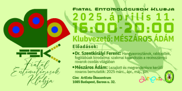 1_FEK-head-2025.-aprilis-11