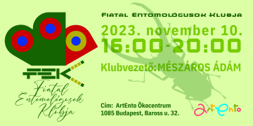 2023. november