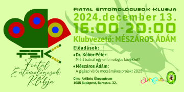 FEK-head-2024.-december-13