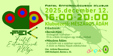 FEK-head-2025.-december-12