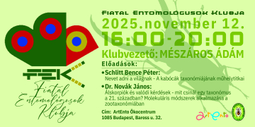 FEK-head-2025.-november-14