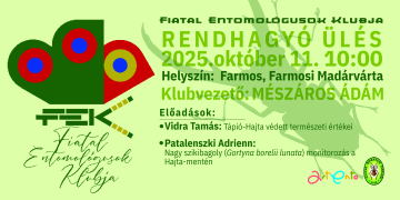 FEK-head-2025.-oktober-kulso-h