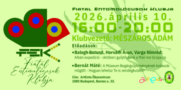 FEK-head-2026.-aprilis-10