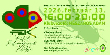 FEK-head-2026.-februar-13