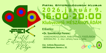 FEK-head-2026.-januar-9