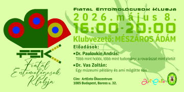 FEK-head-2026.-majus-8