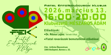 FEK-head-2026.-marcius-13