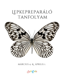 Lepkeprep-tanfolyam