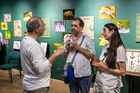 3-eves-ArtEnto-35