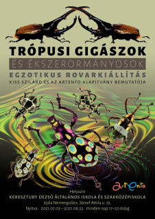 Trópusi gigászok és ékszerormányosok