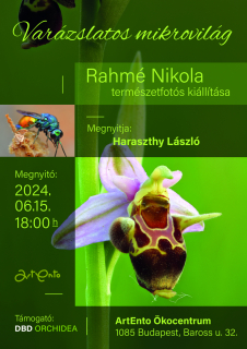 Varazslatos-mikrovilag-poszter