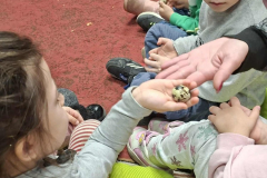 42b557fb0c22f4649b9016f5f4b9645e