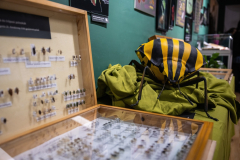 ArtEnto_Poloska_20260314_02_fm_1920px