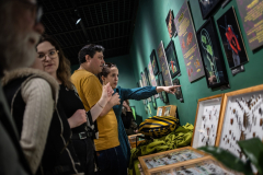 ArtEnto_Poloska_20260314_43_fm_1920px