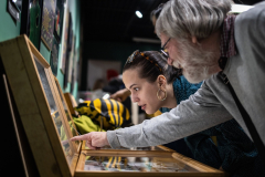 ArtEnto_Poloska_20260314_45_fm_1920px