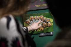 ArtEnto_Poloska_20260314_48_fm_1920px