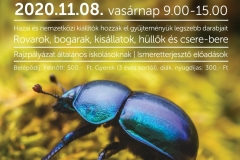 NEMZETKÖZI ROVARBÖRZE