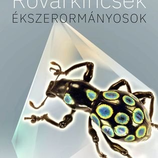 Rovarkincsek - Ékszerormányosok