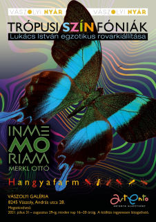 Trópusi SZÍNfóniák  - In MeMOriam