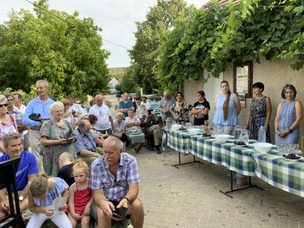 Megnyitó